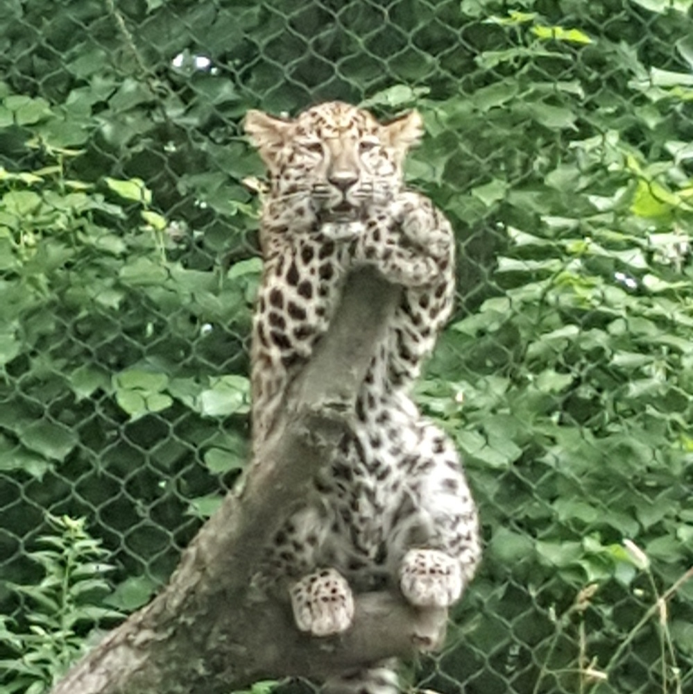 Meet your Posher, Nichole